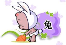 2023兔年梅姓取名字缺金