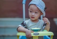 2023锦集郑氏男孩名字土