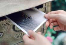 最佳邵氏取名好听属虎2022-姓名打分测试:邵艺辰