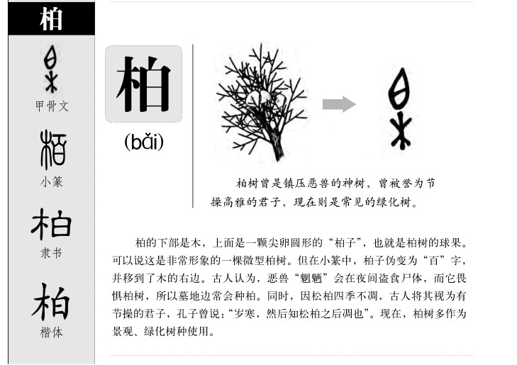 柏字五行属什么_柏字取名寓意内涵