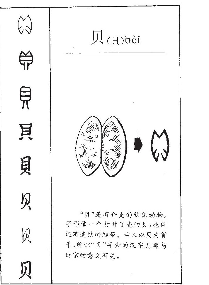 贝字五行属什么_贝字取名寓意内涵