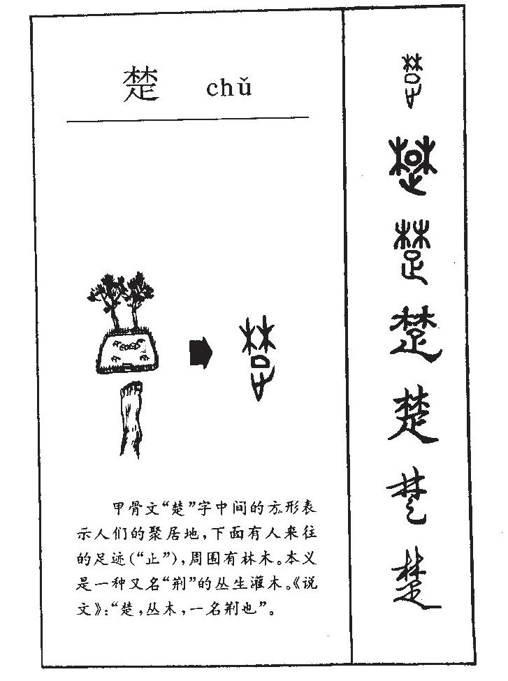 楚字五行属什么_楚字取名寓意内涵