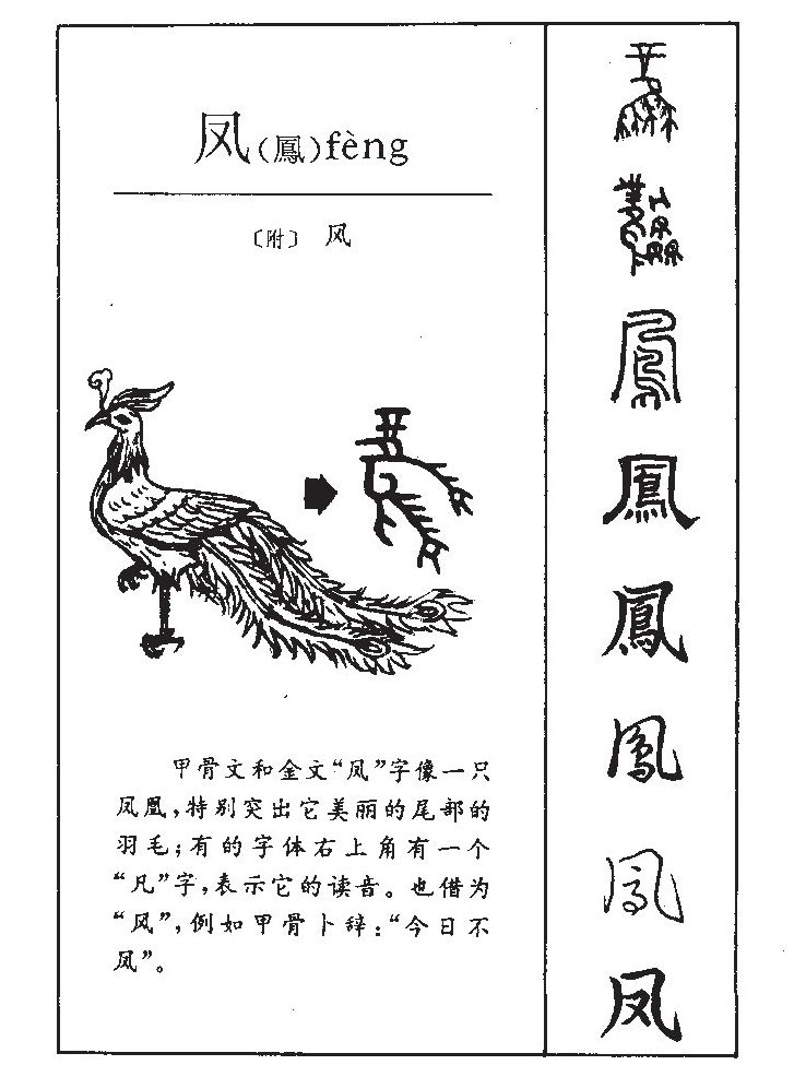 凤字五行属什么_凤字取名寓意内涵
