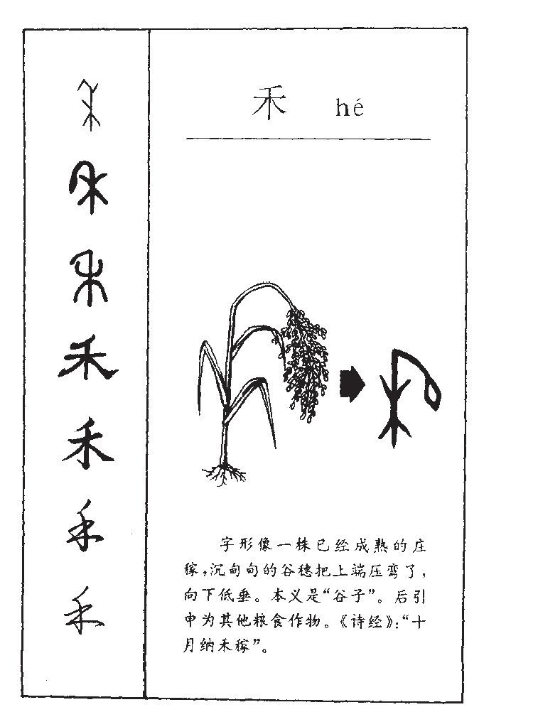 禾字五行属什么_禾字取名寓意内涵