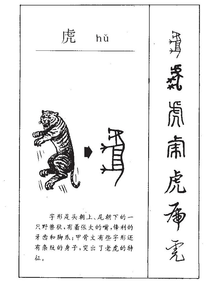 虎字五行属什么_虎字取名寓意内涵