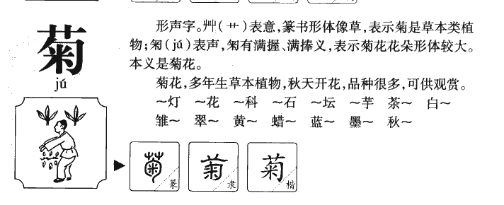菊字五行属什么_菊字取名寓意内涵