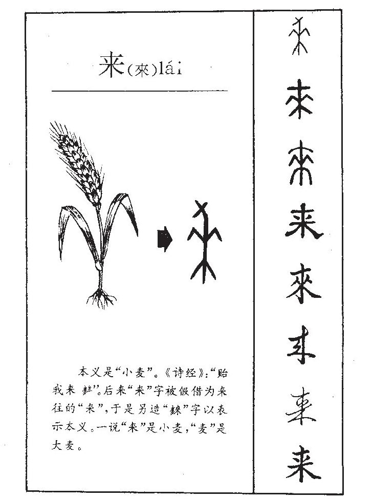 来字五行属什么 来字取名意义