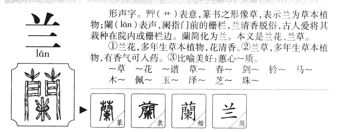 兰字五行属什么_兰字取名寓意内涵