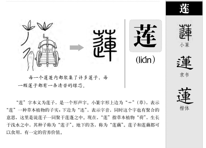 莲字五行属什么_莲字取名寓意内涵