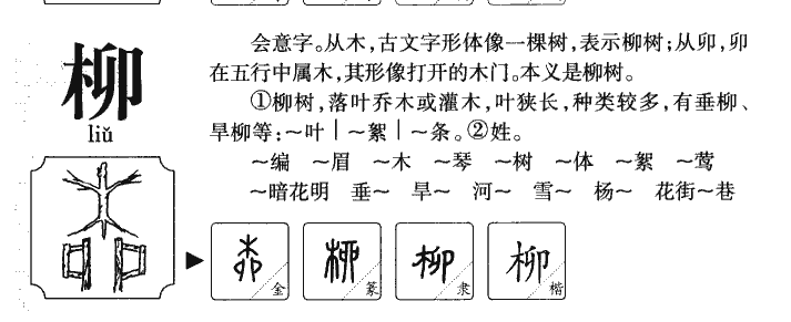 柳字五行属什么_柳字取名寓意内涵