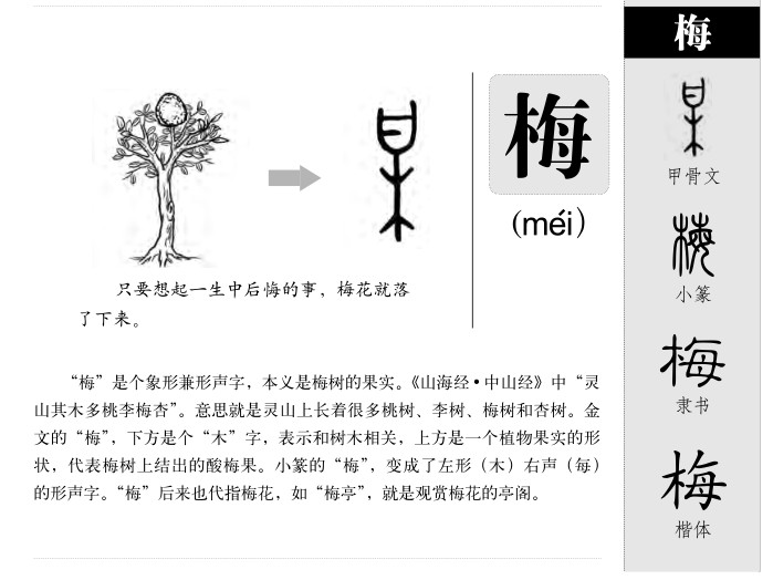 梅字五行属什么_梅字取名寓意内涵