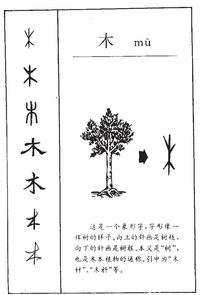木字五行属什么_木字取名寓意内涵