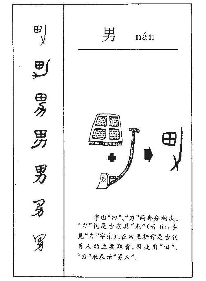 男字五行属什么 - 男字取名意义