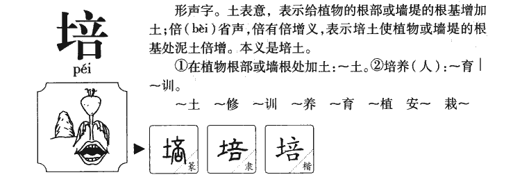培字五行属什么_培字取名寓意内涵