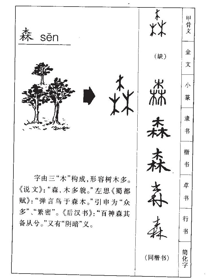 森字五行属什么_森字取名寓意内涵
