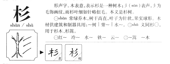 杉字五行属什么_杉字取名寓意内涵