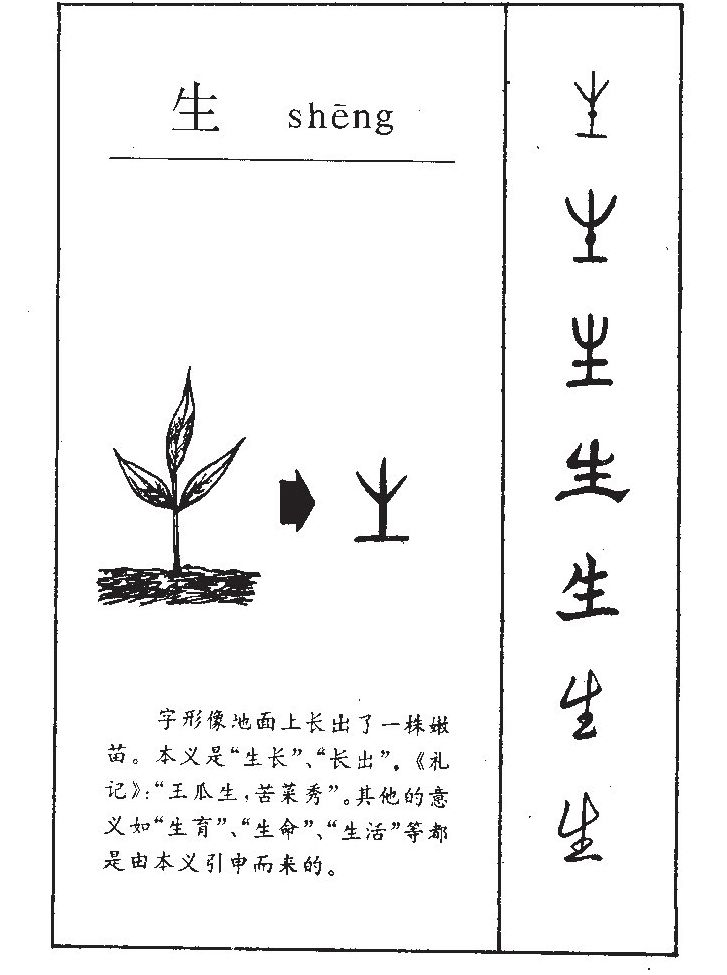 生字五行属什么_生字取名寓意内涵
