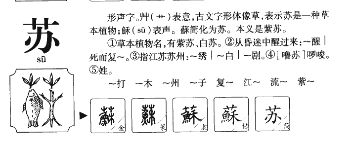 苏字五行属什么_苏字取名寓意内涵