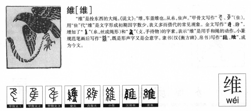 维字五行属什么_维字取名寓意内涵