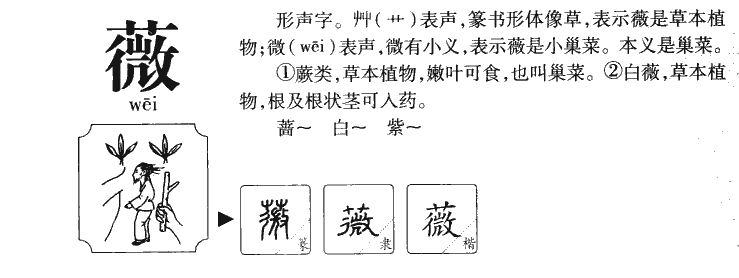 薇字五行属什么_薇字取名寓意内涵