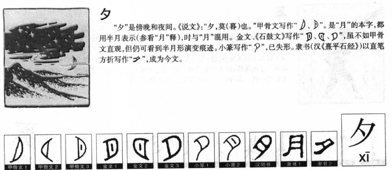 夕字五行属什么 夕字取名意义