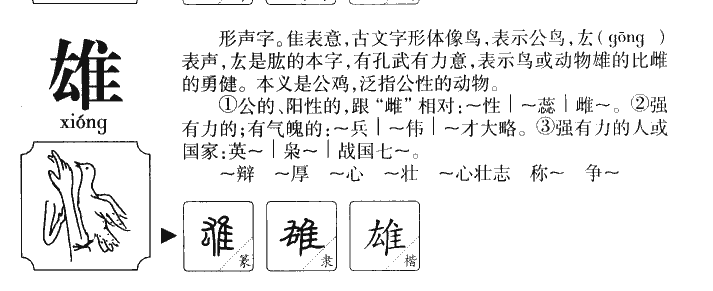 雄字五行属什么_雄字取名寓意内涵