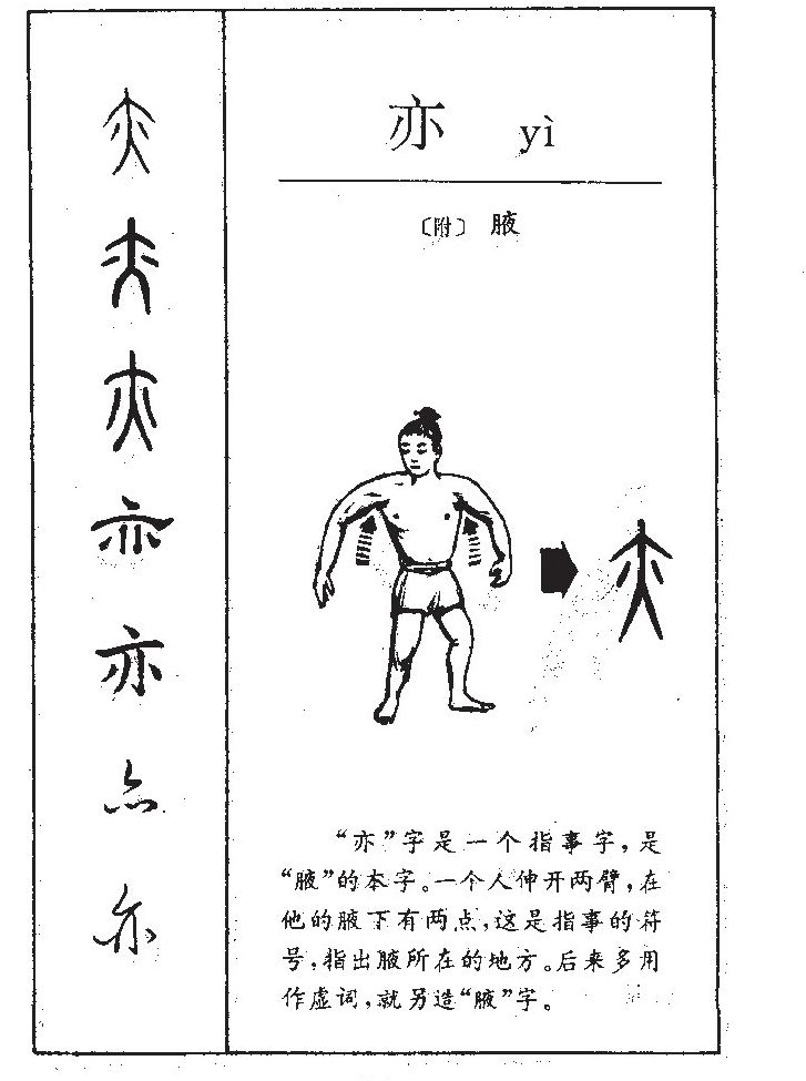 亦字五行属什么_亦字取名寓意内涵