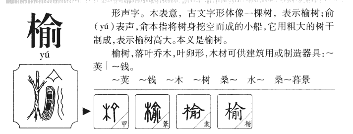榆字五行属什么 - 榆字取名意义