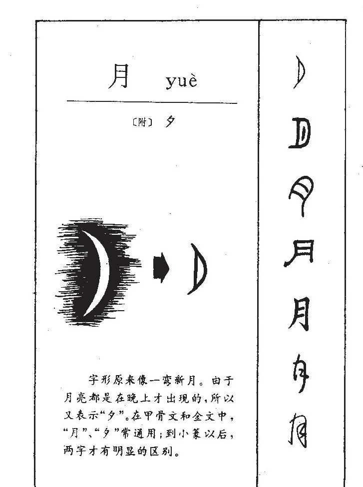 月字五行属什么_月字取名寓意内涵