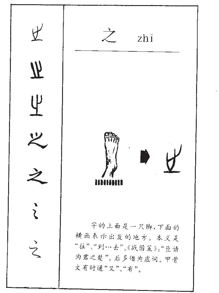 之字五行属什么_之字取名寓意内涵