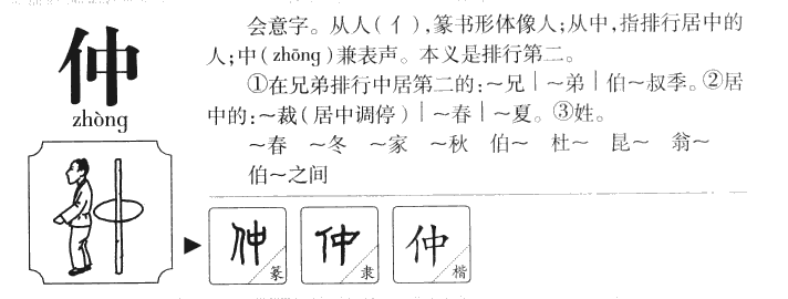 仲字五行属什么 - 仲字取名意义
