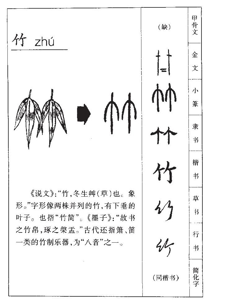 竹字五行属什么 竹字取名意义