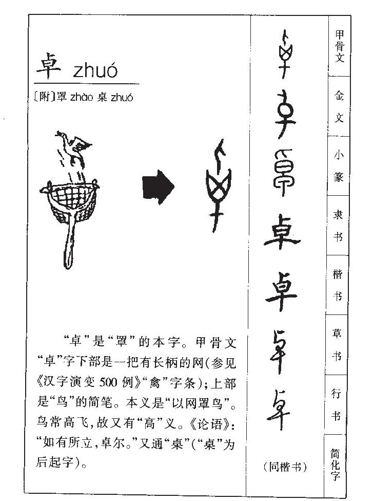 卓字五行属什么_卓字取名寓意内涵